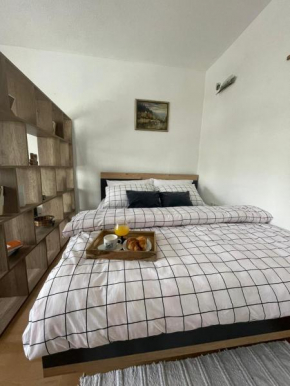 Studio apartman Galić